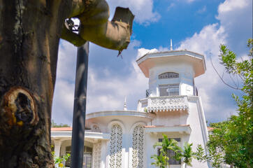 Villa Milagros Landscape
